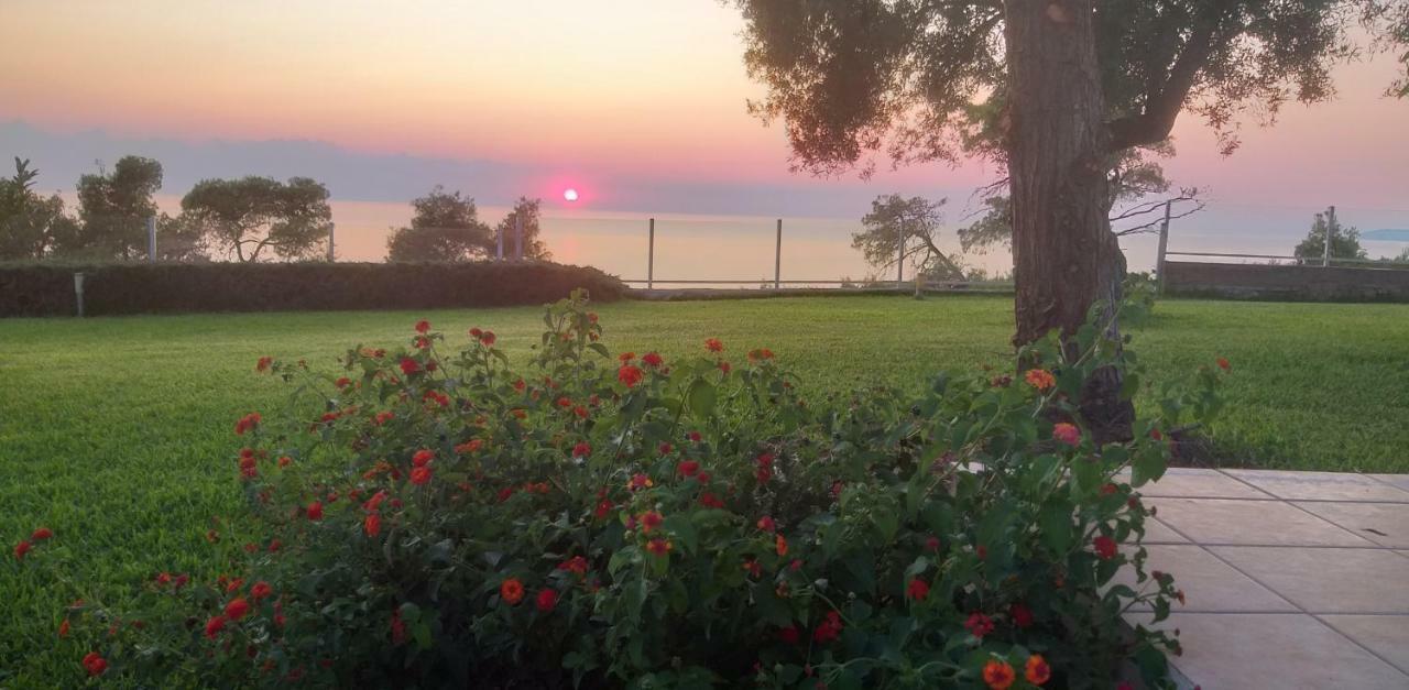 Villa Achilleos Possidi Dış mekan fotoğraf